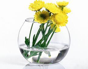 Ваза Flora Акваріум 100мл 1шт