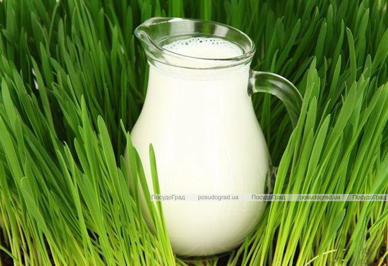 Кувшин Bistro Jugs 250мл