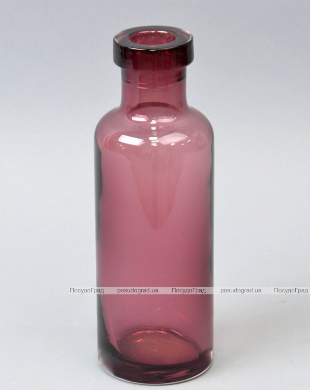 Ваза скляна Monophonic Brutal bottle 22см