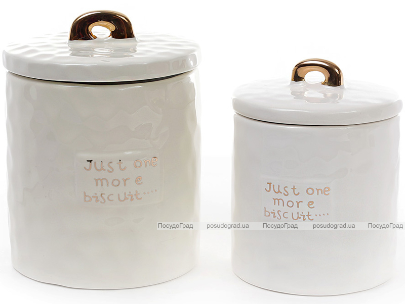 Банка Gold Star "Just one more biscuit" для сыпучих продуктов 725мл, белая