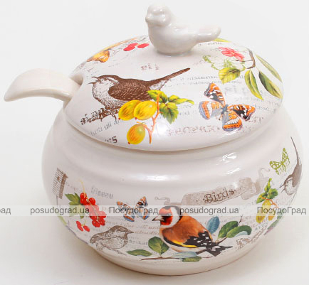 Банка "Birds Garden" 470мл з керамічною ложкою