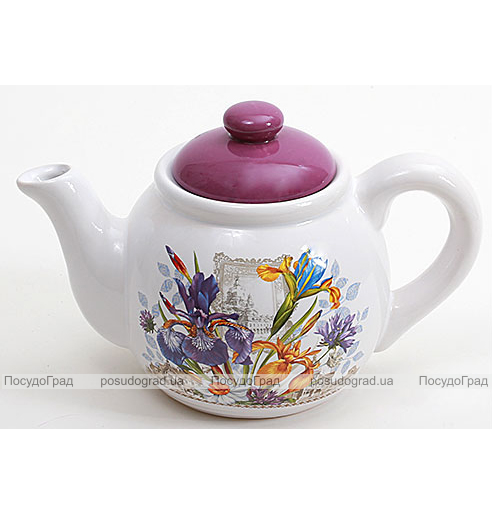 Чайник заварювальний "Iris Flower" 600мл