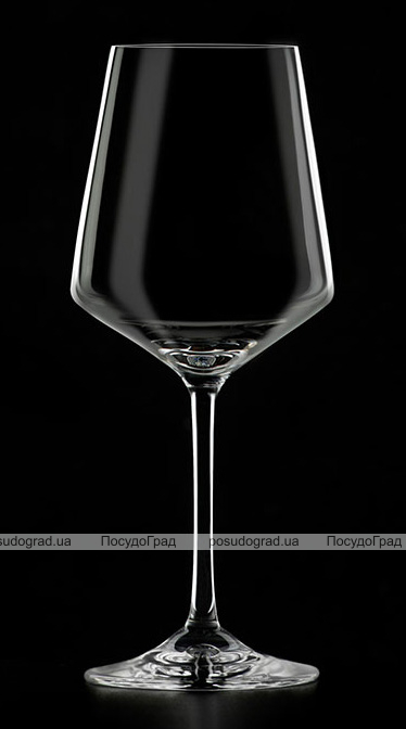 Набір 2 келихи Bergner MasterPro Wine Oenology 390мл для білого вина