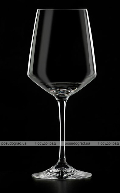 Набір 2 келихи Bergner MasterPro Wine Oenology 460мл для червоного вина