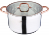 Кастрюля Bergner Infinity Chefs 9.5л со стеклянной крышкой