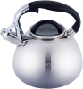 Чайник Kamille Whistling Kettle 2.8л из нержавеющей стали со свистком и стеклянной крышкой