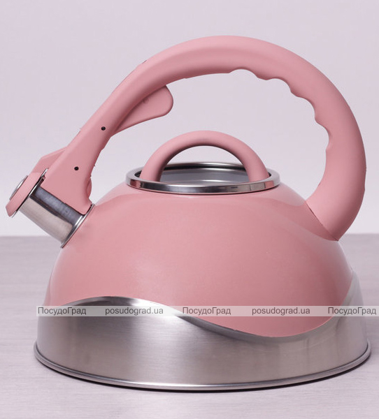 Чайник Kamille Whistling Kettle 3л зі свистком і скляною кришкою