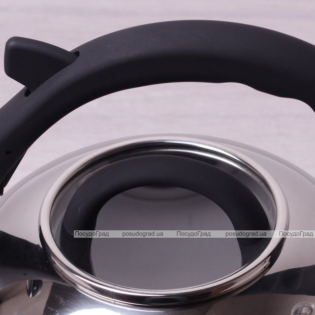 Чайник Kamille Whistling Kettle 2.8л зі свистком і скляною кришкою