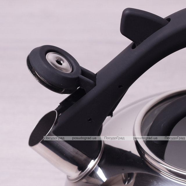 Чайник Kamille Whistling Kettle 2.8л зі свистком і скляною кришкою