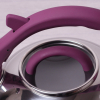 Чайник Kamille Whistling Kettle-I 2.8л зі свистком і скляною кришкою