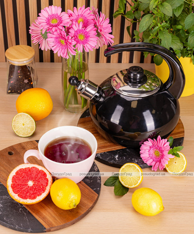 Чайник емальований Kamille "Boiling Water" 2.5л зі свистком, чорний глянець