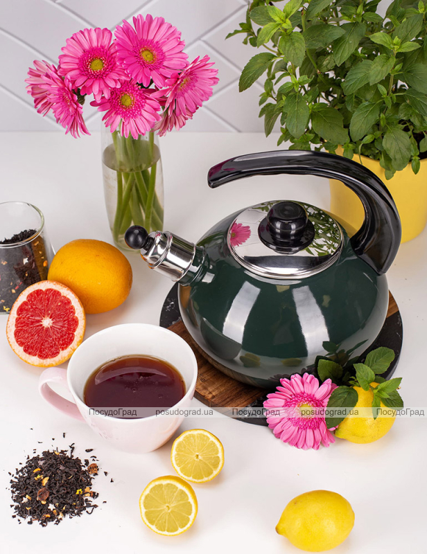 Чайник емальований Kamille "Boiling Water" 2.5л зі свистком, зелений глянець