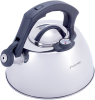 Чайник Kamille Whistling Kettle Thermo 3л з нержавіючої сталі зі свистком і термометром