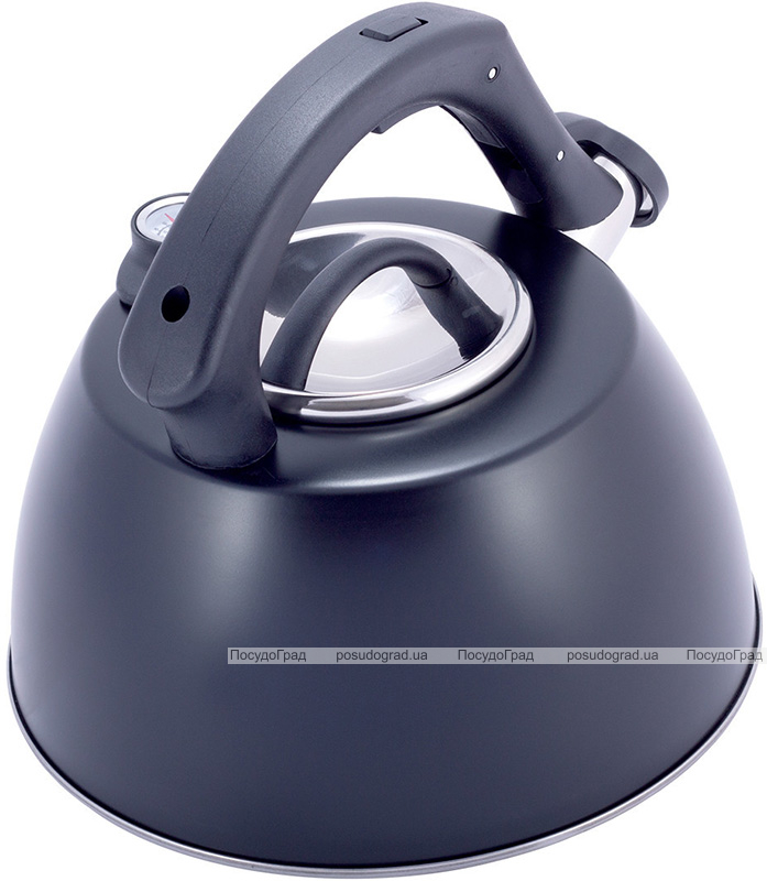 Чайник Kamille Whistling Kettle Thermo 3л з нержавіючої сталі зі свистком і термометром, чорний