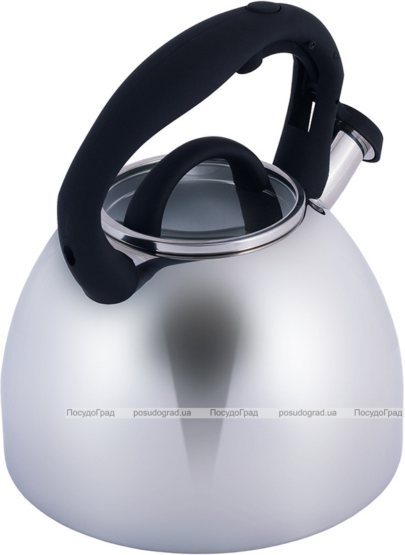 Чайник Kamille Whistling Kettle 2.7л з нержавіючої сталі зі свистком і скляною кришкою (чорна ручка)