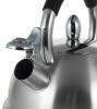 Чайник Kamille Whistling Kettle 2.7л з нержавіючої сталі зі свистком