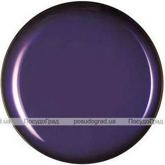 Набір 6 обідніх тарілок Luminarc Arty Purple Ø26см, скло
