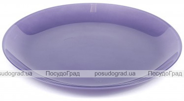 Набір 6 обідніх тарілок Luminarc Arty Purple Ø26см, скло