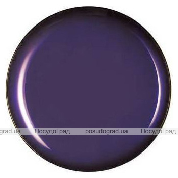 Набір 6 десертних тарілок Luminarc Arty Purple Ø20.5см, скло
