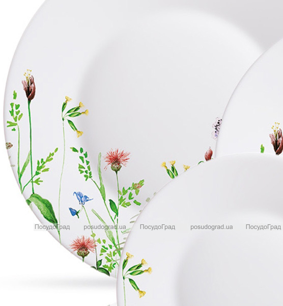 Столовий сервіз Luminarc Eufloria на 6 персон 46 предметів