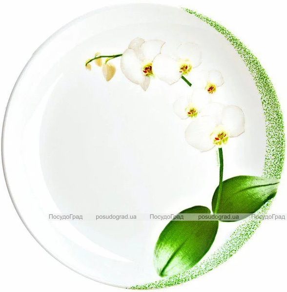 Набір 6 обідніх тарілок Luminarc White Orchid Ø27см, склокераміка