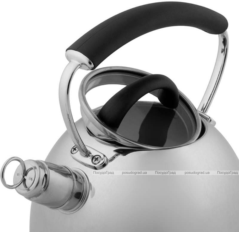 Чайник Ofenbach Magic Kettle 2.5л зі свистком та скляною кришкою