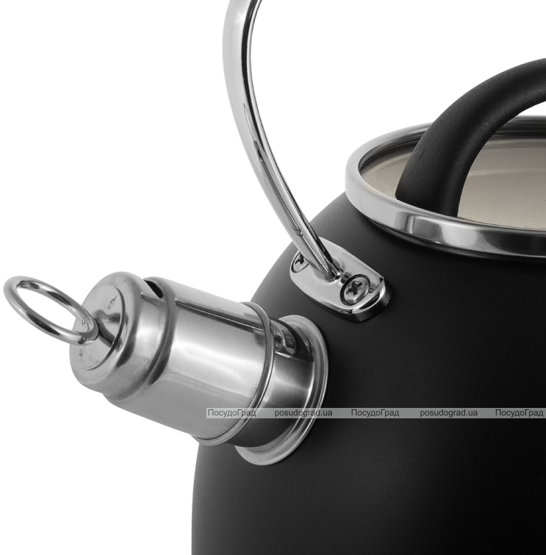 Чайник Ofenbach Magic Kettle 2.5л зі свистком та скляною кришкою, чорний