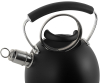 Чайник Ofenbach Magic Kettle 2.5л зі свистком та скляною кришкою, чорний