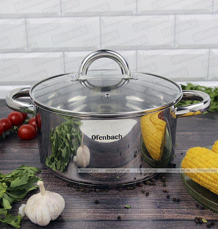 Каструля індукційна Ofenbach Casserole із нержавіючої сталі 4л зі скляною кришкою
