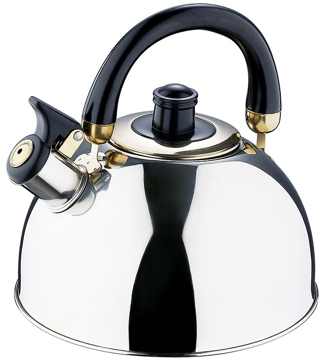 Чайник Wellberg Kettle 3л зі свистком